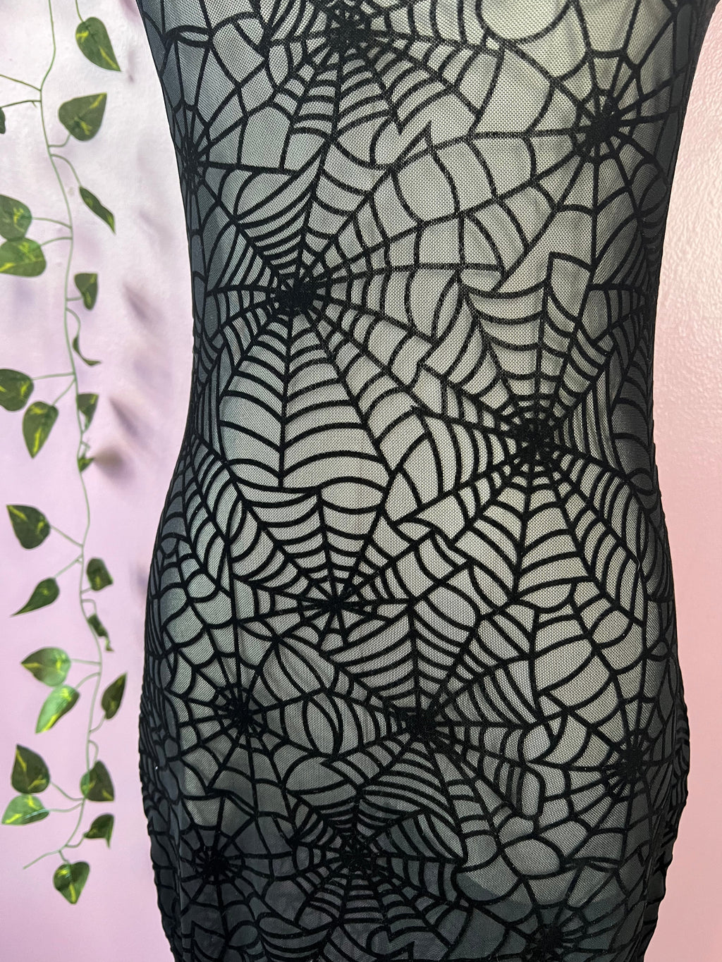 Sheer Hourglass Maxi Dress - Velvet Flocked Spider Webs