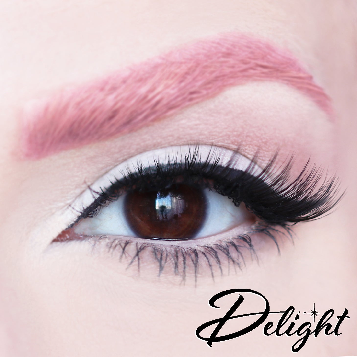 D Poodle Collection- Lashes in Compact