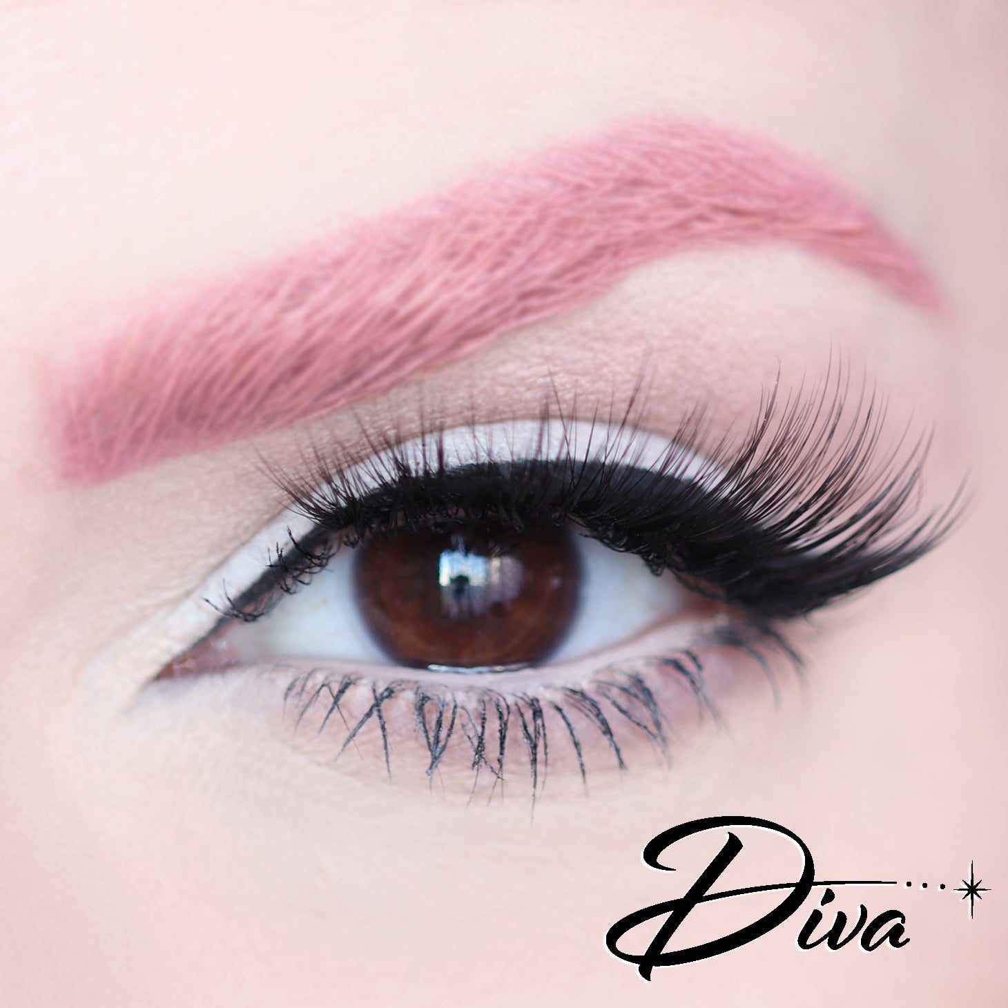 D Poodle Collection- Lashes in Compact