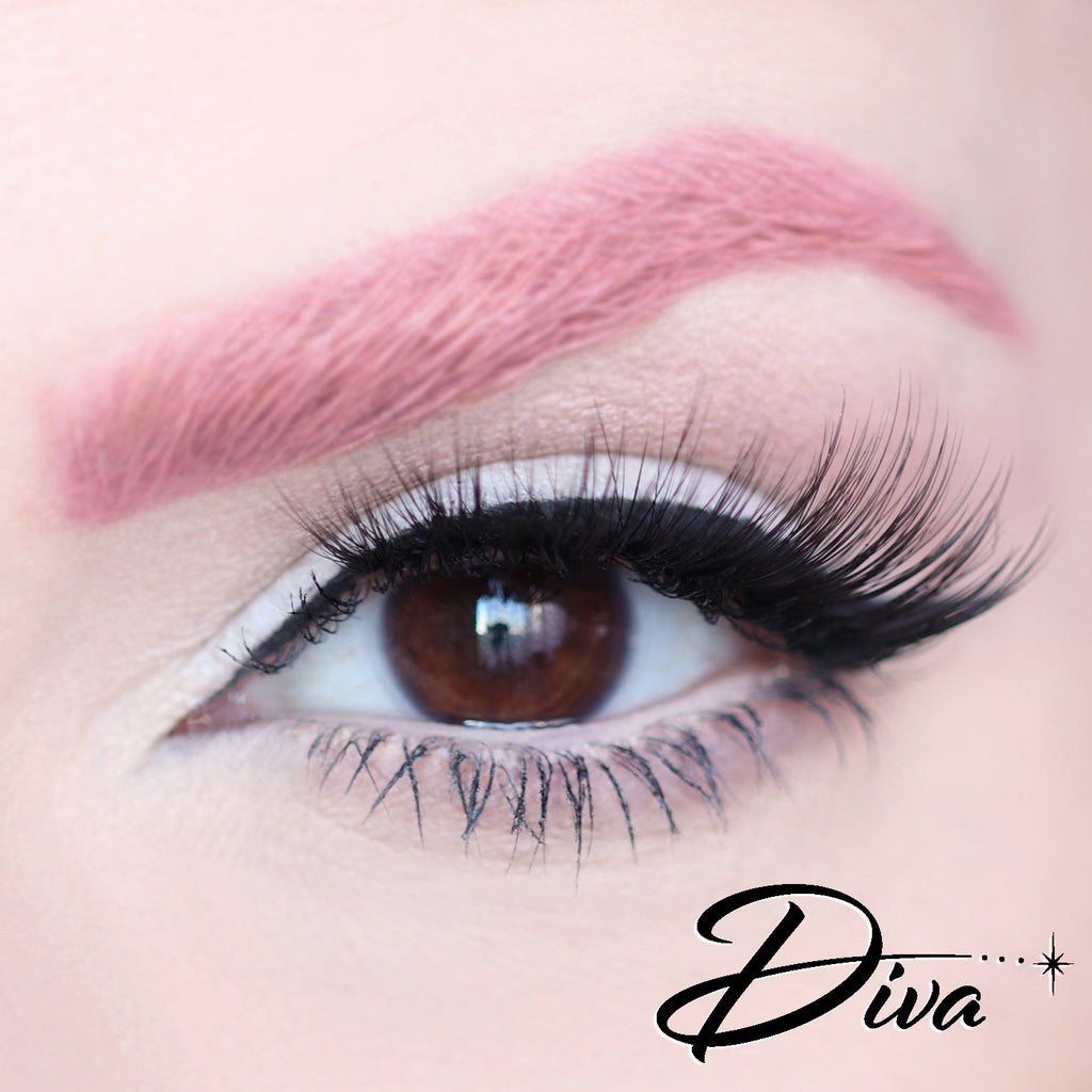 D Poodle Collection- Lashes in Compact