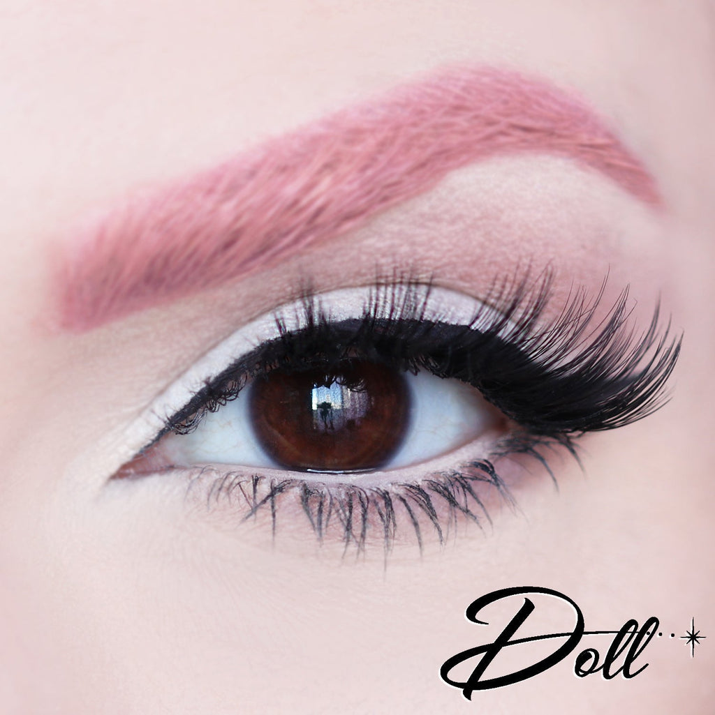 D Poodle Collection- Lashes in Compact