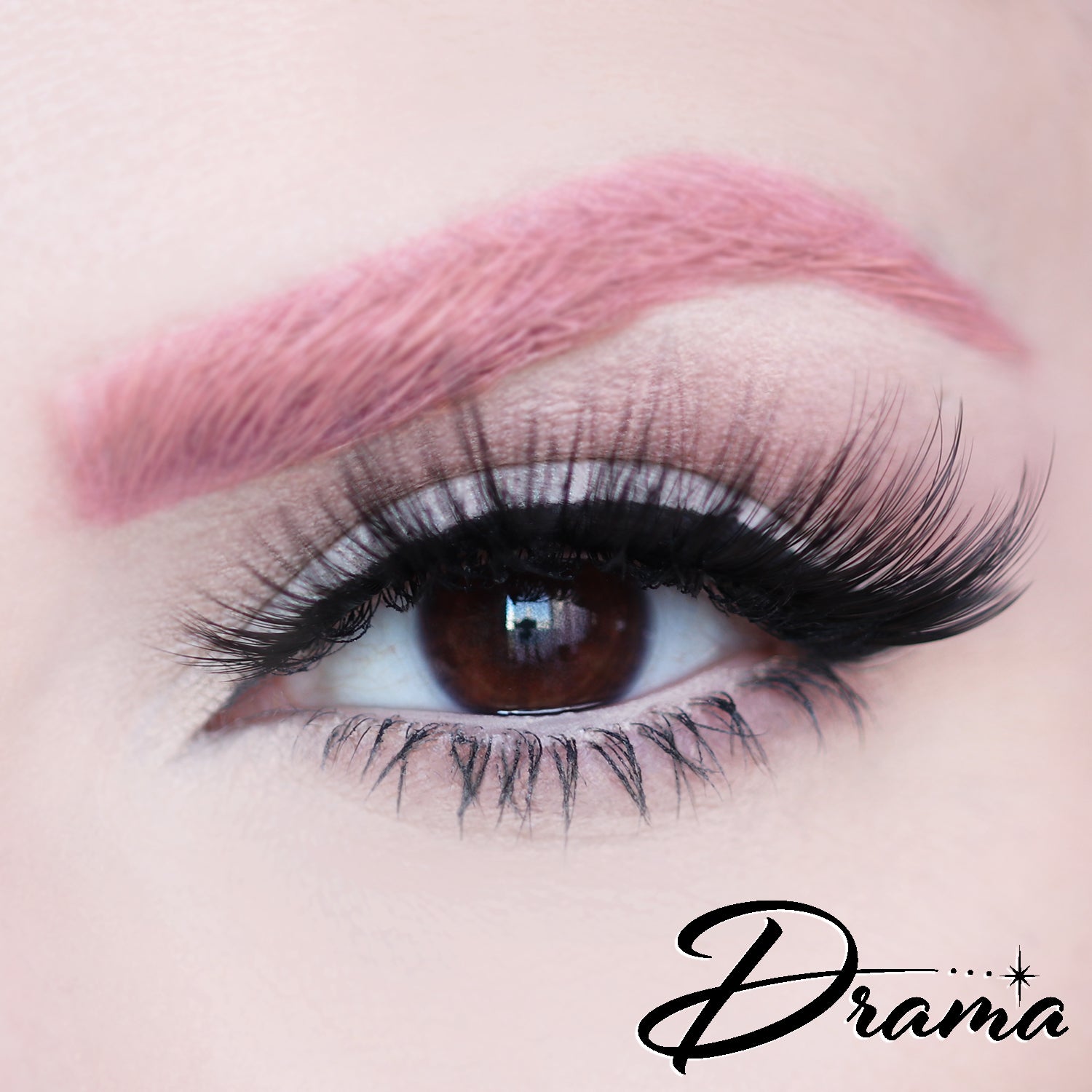 D Poodle Collection- Lashes in Compact